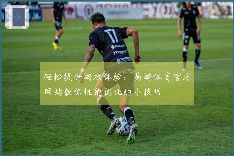 轻松提升游戏体验，易游体育官方网站教你性能优化的小技巧