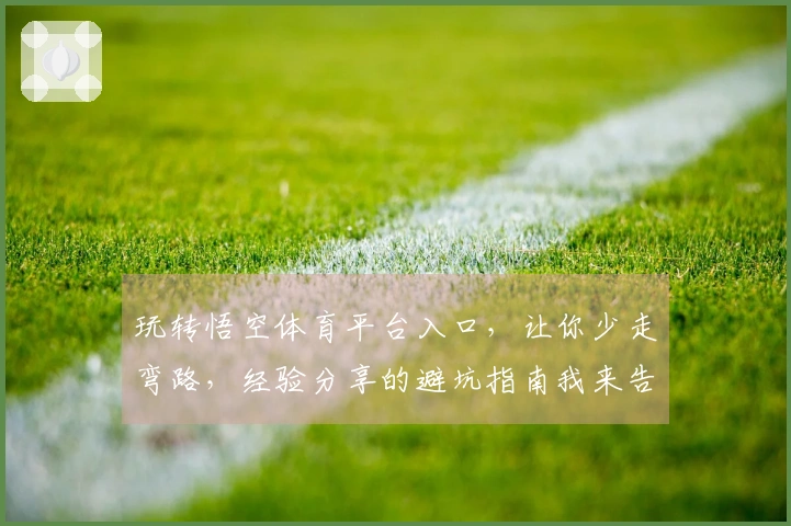 玩转悟空体育平台入口，让你少走弯路，经验分享的避坑指南我来告诉你