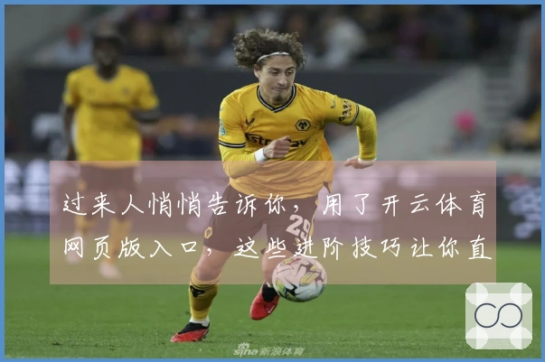 过来人悄悄告诉你，用了开云体育网页版入口，这些进阶技巧让你直接起飞！