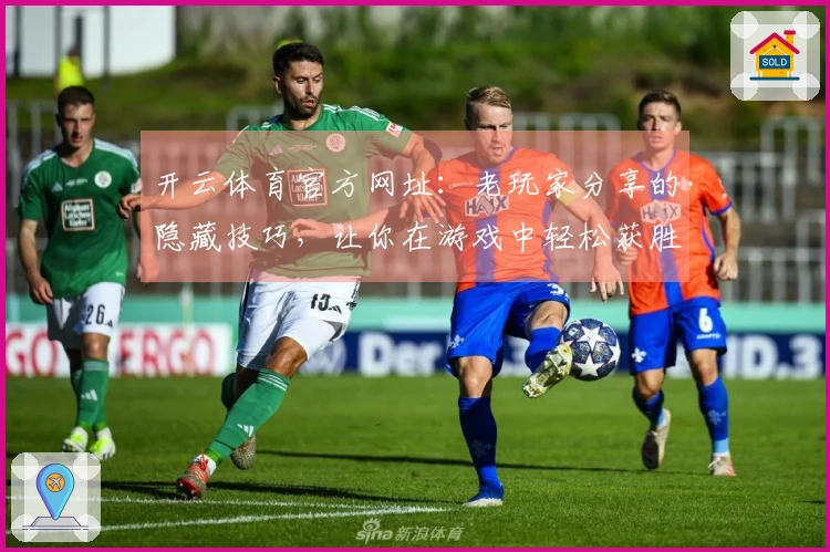 开云体育官方网址：老玩家分享的隐藏技巧，让你在游戏中轻松获胜