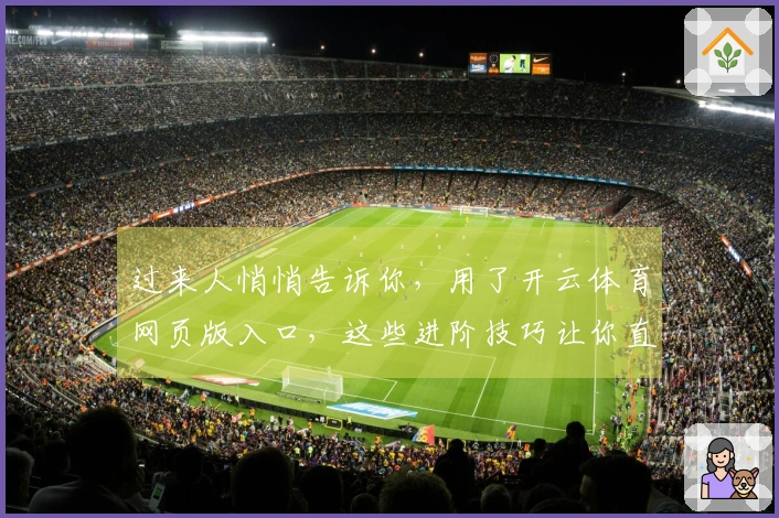 过来人悄悄告诉你，用了开云体育网页版入口，这些进阶技巧让你直接起飞！